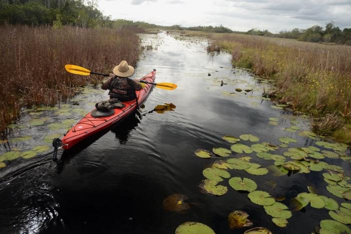 Kayak in Okefenokee Swamp