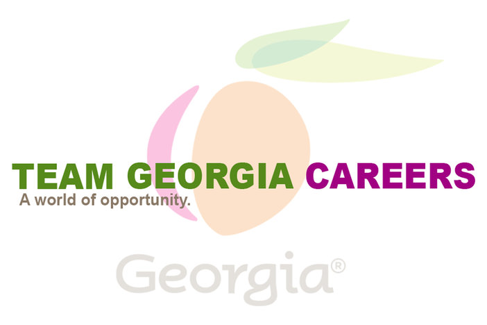 team georgia careers thumbnail