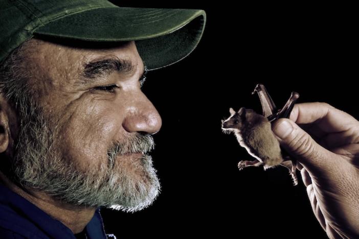 Ecologist Rodrigo Medellin with a Lesser long-nosed bat.