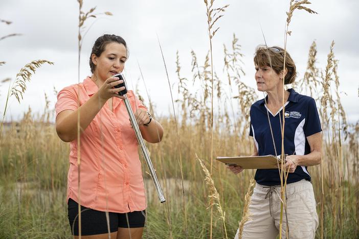 two women take measurements among dune grass
