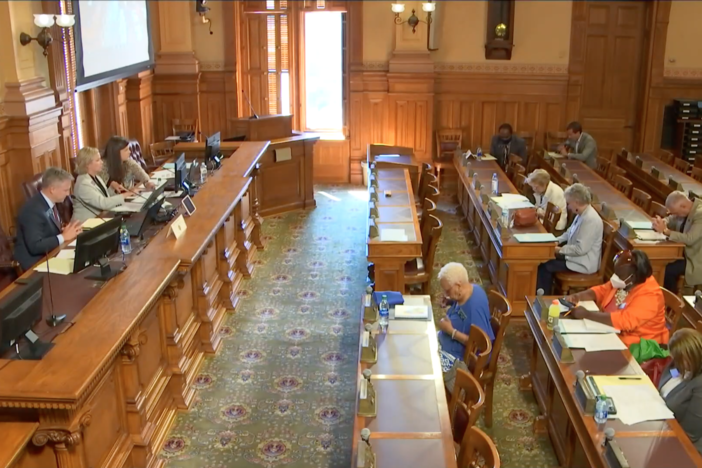 Members of the Joint Redistricting Committee met for a town hall Tuesday, June 15.