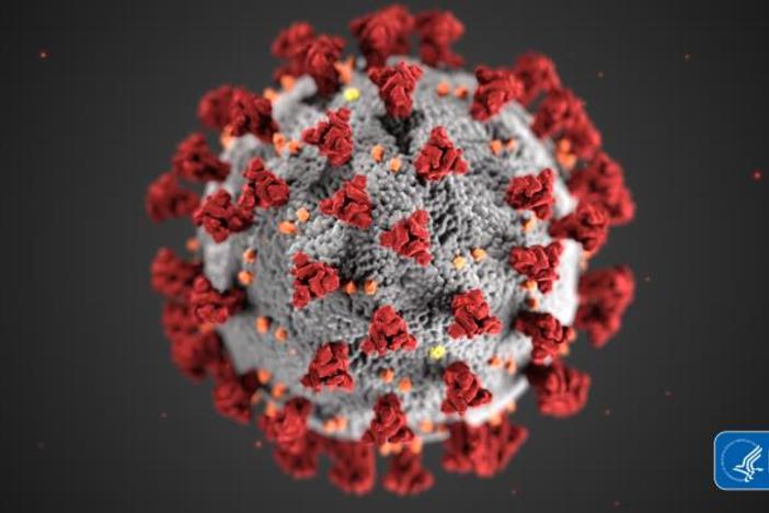 Coronavirus