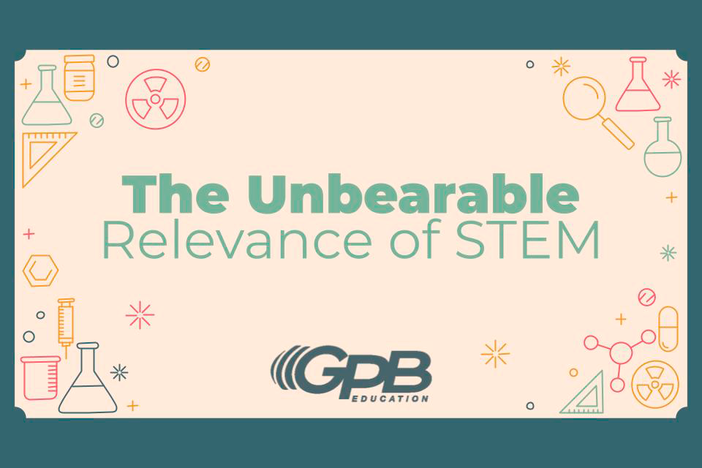 The Unbearable Relevance of STEM