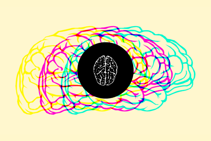 An illustration of a brain.