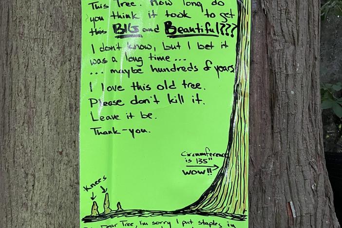 Sign on tree in Savannah