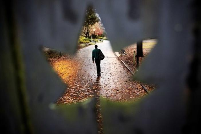 A pedestrian is seen through a cutout of a leaf on a gated entrance to Piedmont Park in Atlanta.