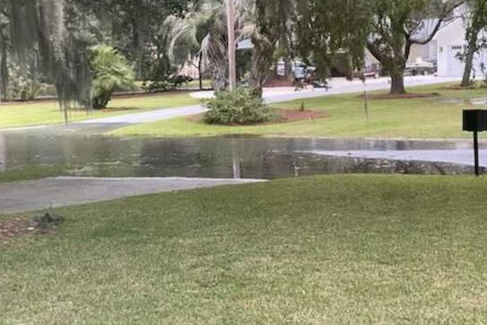 Cardinal Drive across the street from Herb Creek on Isle of Hope on Friday morning, Nov. 5 during a king tide.