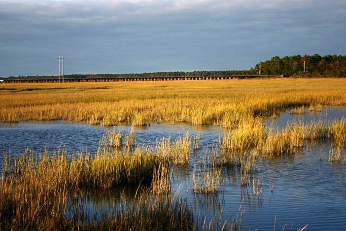 A landscape image of Georgia coastal marshlands
