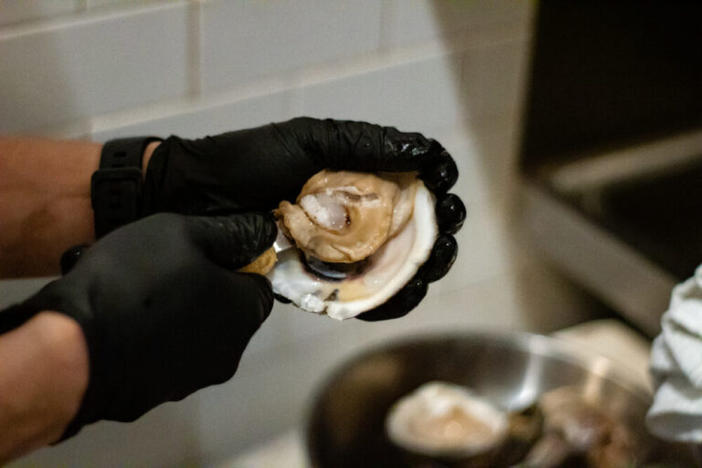 Shucking oysters