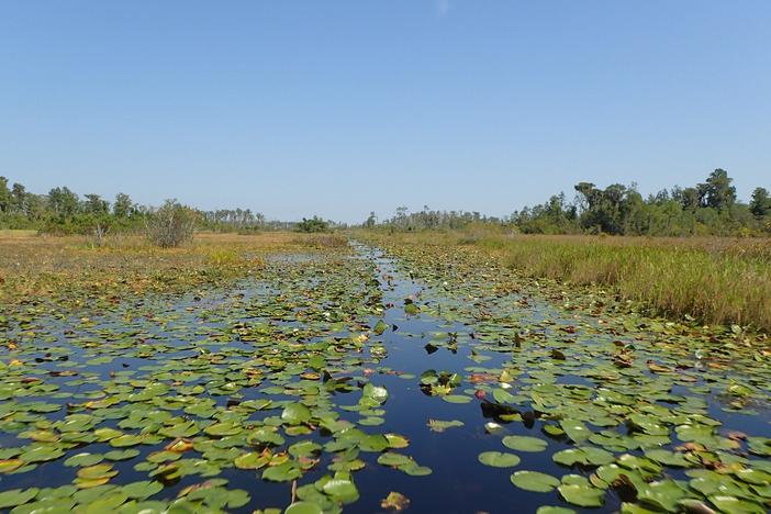 Okefenokee National Wildlife Refuge