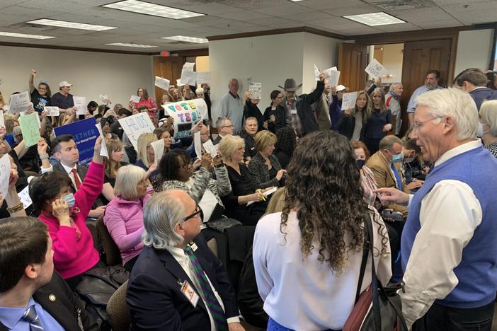 A large group of activists showed up Monday to oppose a wide-ranging mental health bill pending in committee. Secretary of Senate David Cook (right) and additional state troopers were called to the room to maintain order.
