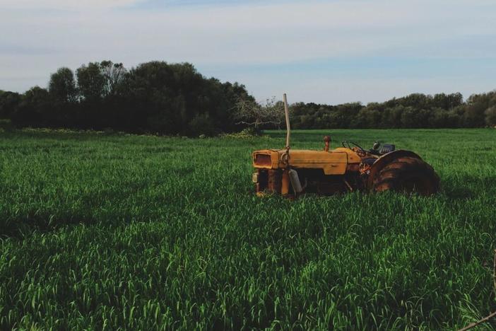 Tractor in field