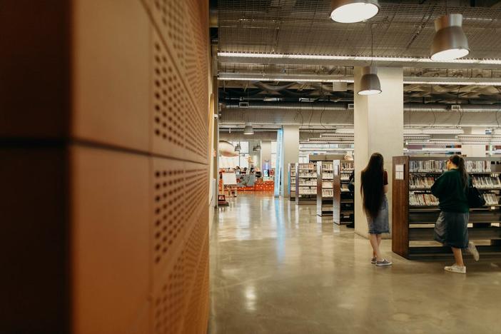 Students in library