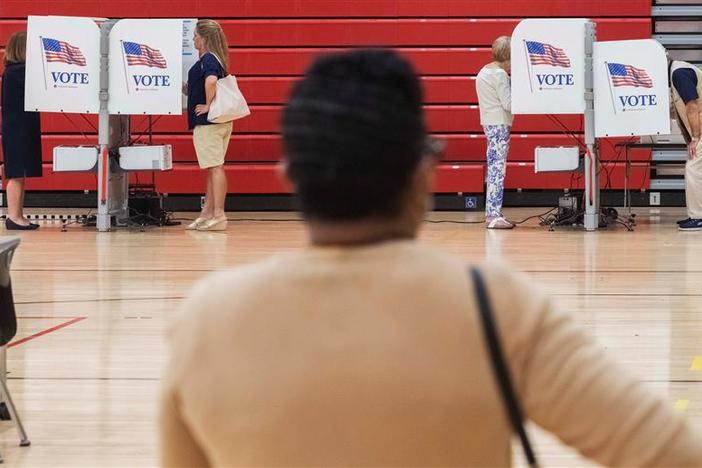 a voter waits in line to vote 