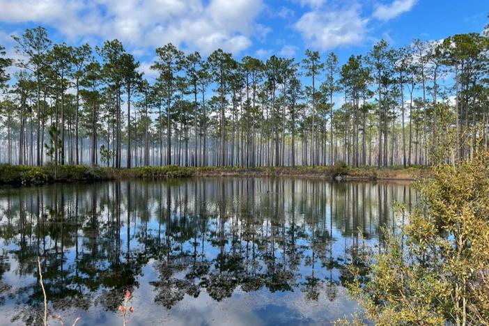 Okefenokee National Wildlife Refuge