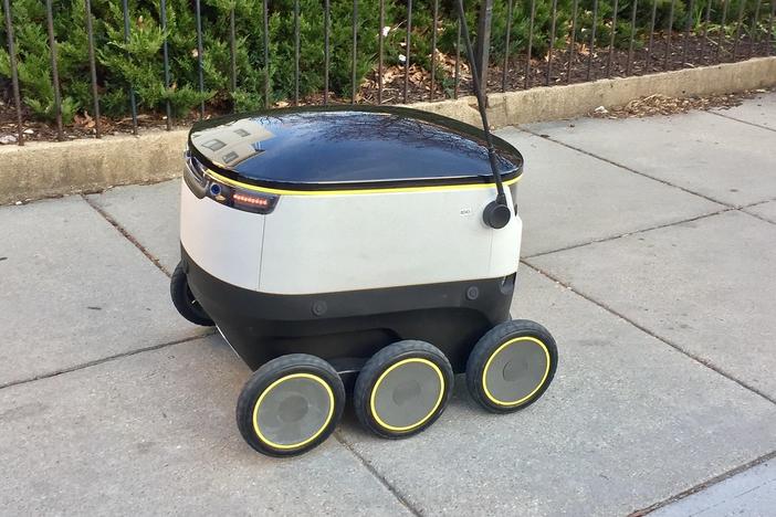 Delivery robot