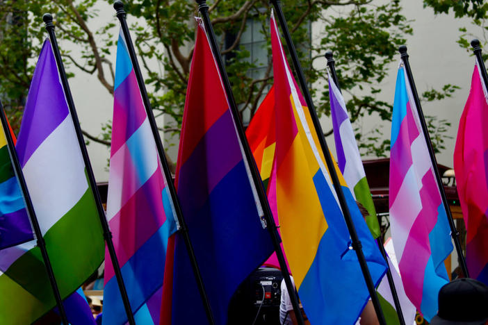 LGBTQ+ Flags