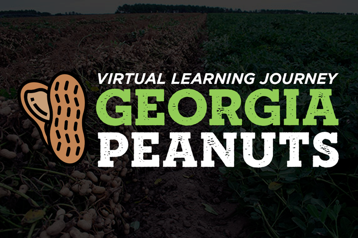 VFT - Georgia Peanuts