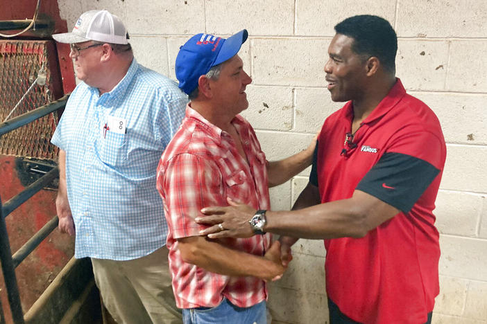 Republican U.S. Senate nominee Herschel Walker talks with a voter at a livestock auction in Athens, Ga., Wednesday, July 20, 2022, as Walker campaigns to unseat Democratic Sen. Raphael Warnock. 