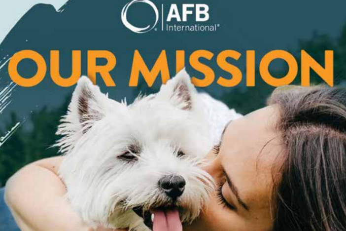 A screenshot of an image from AFB International’s website.