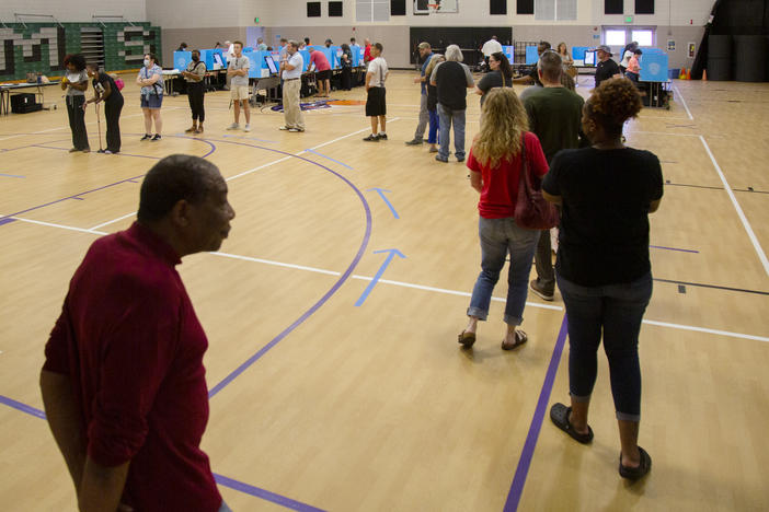 The line to vote at the Bonaire Middle School precinct in Houston County.