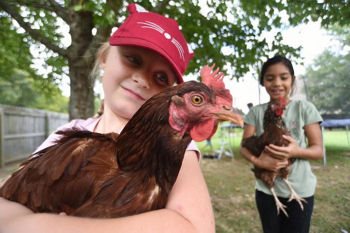 Evelyn Wilkey, 7, holds a chicken named Diva as her sister Nora, 8, holds Nugget at the Wilkey home in Catoosa County on Friday, September 2, 2022.