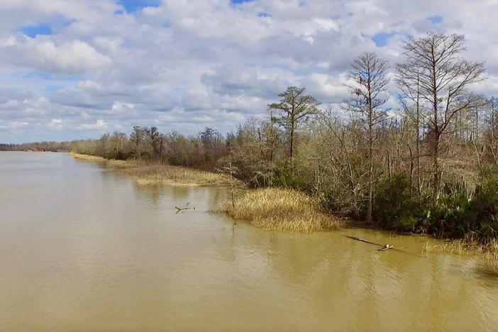 Shores of Mobile Bay