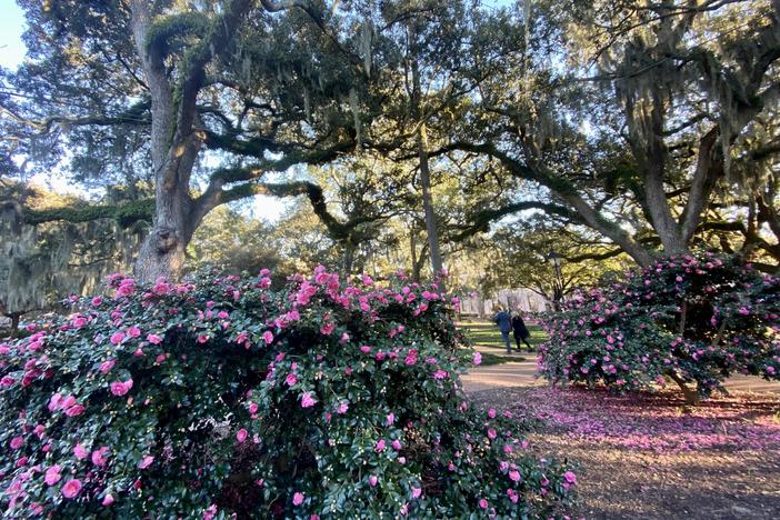 The park formerly named Calhoun Square, located at Abercorn and East Wayne Streets in downtown Savannah, as seen Sunday after councilmembers voted to remove Calhoun's name from it.