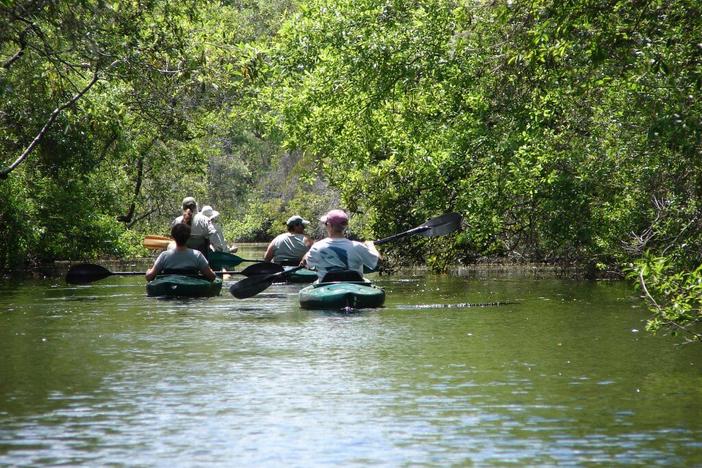  Each year, hundreds of thousands of people visit the Okefenokee National Wildlife Refuge in southeast Georgia to kayak, hike, fish, and participate in other recreational activities. A federal lawsuit filed on Nov. 15 by environmental groups claims that the U.S. Army Corps of Engineers is violating the Clean Water Act by not protecting wetlands that are at risk of mining. Photo contributed by Joy Campbell