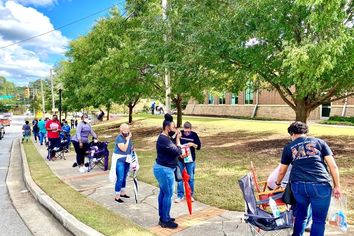 A line of voters