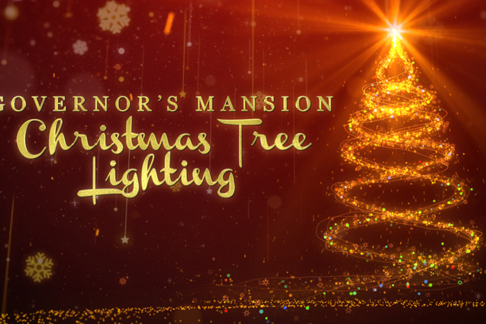 Mansion Tree Lighting 2022