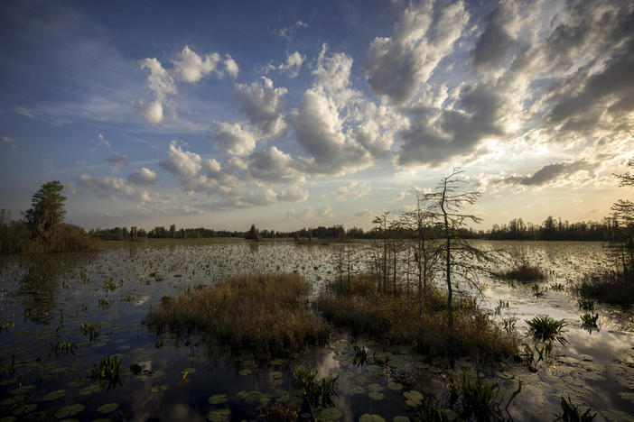 The sun sets on the lily pads and floating vegetation in the Chesser Prairie inside the Okefenokee National Wildlife Refuge on March 30, 2022, in Folkston, Ga. A company's plan to mine minerals just outside the Okefenokee Swamp and it's federally protected wildlife refuge moved a big step closer Thursday, Jan. 19, 2023, to approval by Georgia regulators, who have spent years evaluating the project that opponents say could permanently harm an ecological treasure. 