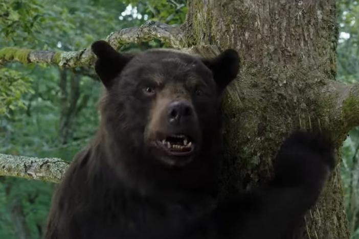 Bear from the movie Cocaine Bear