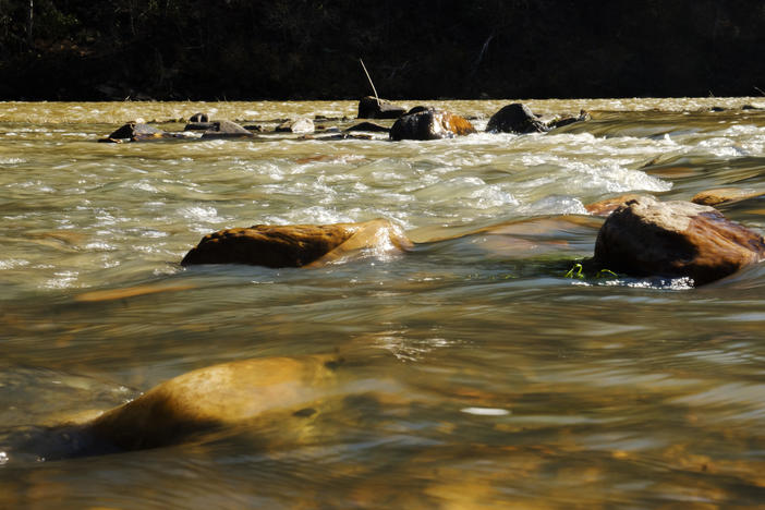 The Flint River at Sprewell Bluff Park in Upson County.