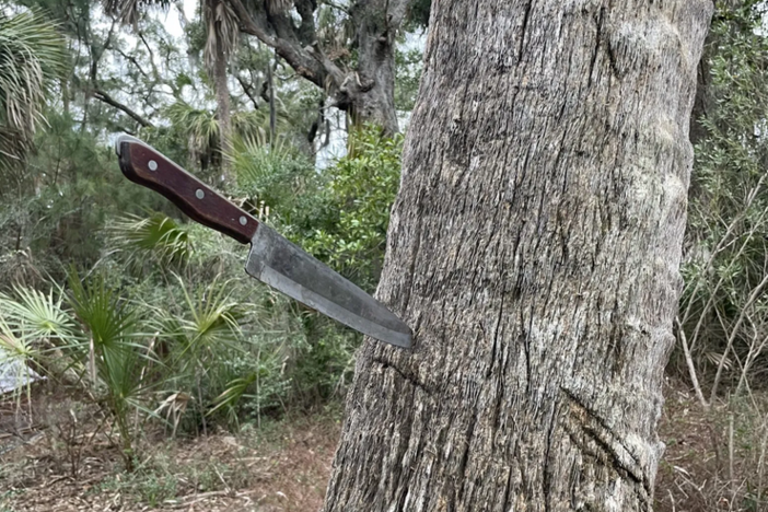 Campers left a knife embedded in a tree on Twin Palms in January.