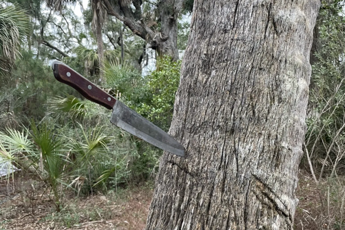 Dnr Clears Illegal Encampments From Little Tybee Georgia Public