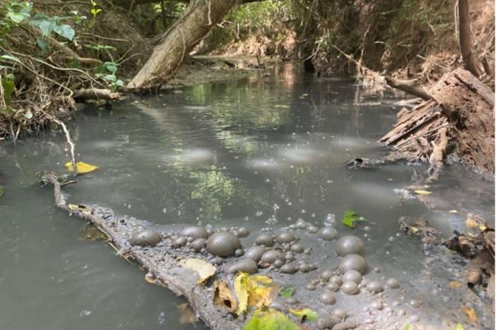 An EPD agent found grey, bubbling water in a tributary of the Little River while investigating a fish kill last summer. The pollution was traced back to a farm that received soil amendments. Photo from EPD report