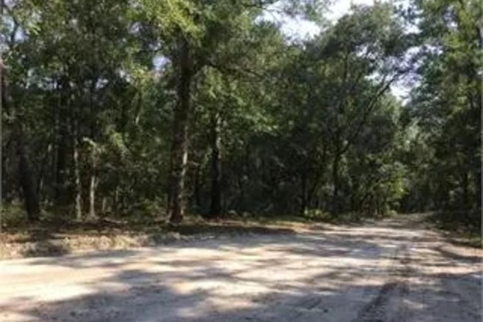 U.S. Rep. Buddy Carter purchased this land in 2018 for $2.1 million. He appealed the 2020 property tax assessment that put the value at 13 percent of the sale price.  Credit: Camden County