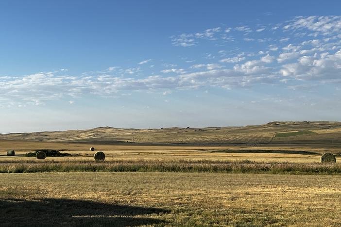 iconic america cowboy plains