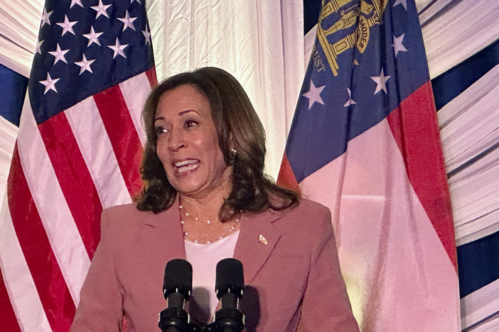 Vice President Kamala Harris speaks at Flourish in Atlanta as part of a fundraising visit to the city on May 12, 2023. 