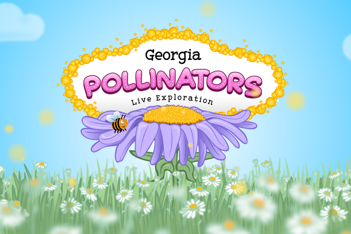 pollinators live