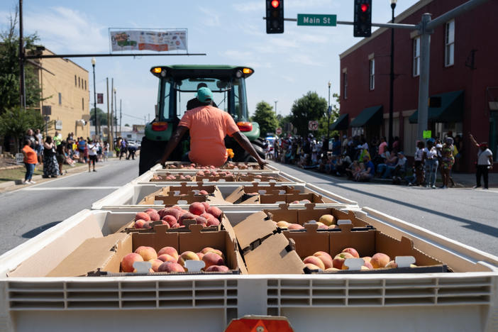 Peaches from Lane Southern Orchards and Pearson Farm make their way through the parade at the Georgia Peach Festival on June 3, 2023.