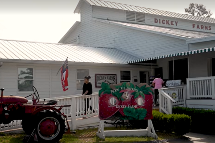 Lee and Robert Dickey with Dickey Farms discuss the 2023 peach crop. Lack of chill hours and a late freeze has caused a substantial loss in the crop.