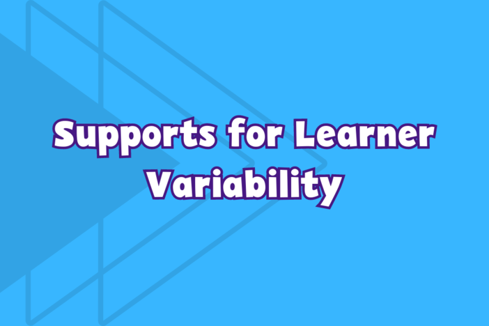 Understanding Mathematics - Supports for Learner Variability