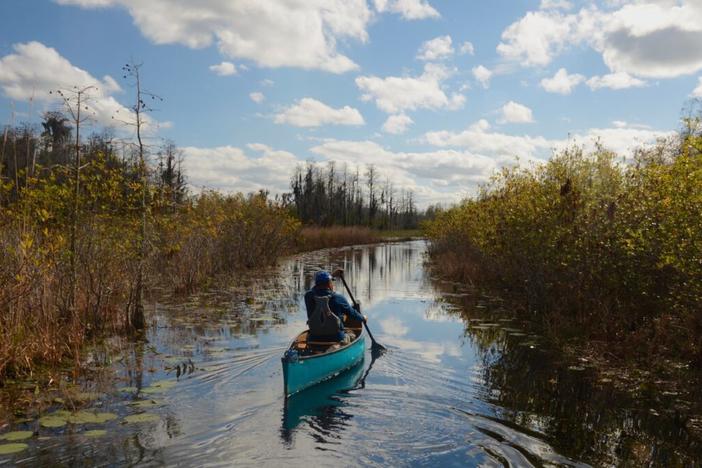 Okefenokee Swamp