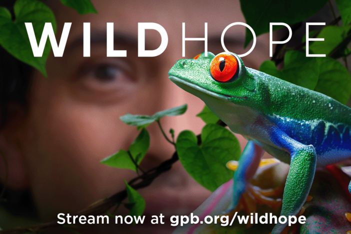 Wild Hope