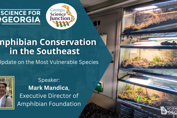 amphibian conservation