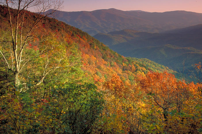 Fort Mountain State Park, located between Dalton and Elijay in North Georgia, is one of the top ten state parks for viewing fall foliage.