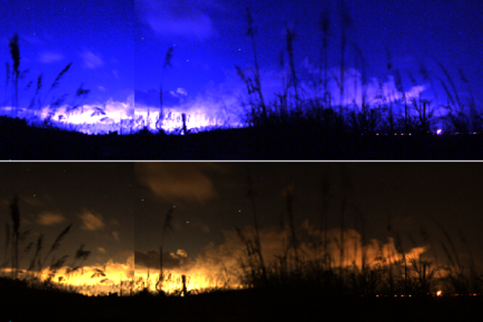 At top, a panoramic image shows what Driftwood Beach on Jekyll Island, Georgia, may look like through the eyes of a sea turtle facing inland. The bottom image shows the same perspective as humans see it.