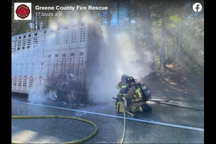 Multiple cows were killed after a livestock trailer caught fire on Interstate 20 east in Greene County, Georgia, state troopers say. 